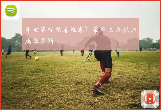 年世界杯花落谁家？最终主办权归属俄罗斯