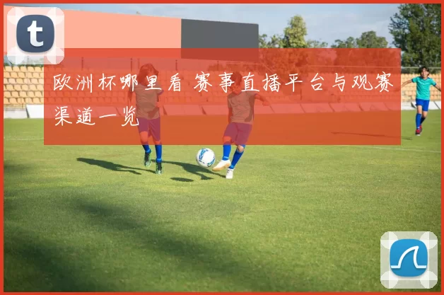 欧洲杯哪里看 赛事直播平台与观赛渠道一览