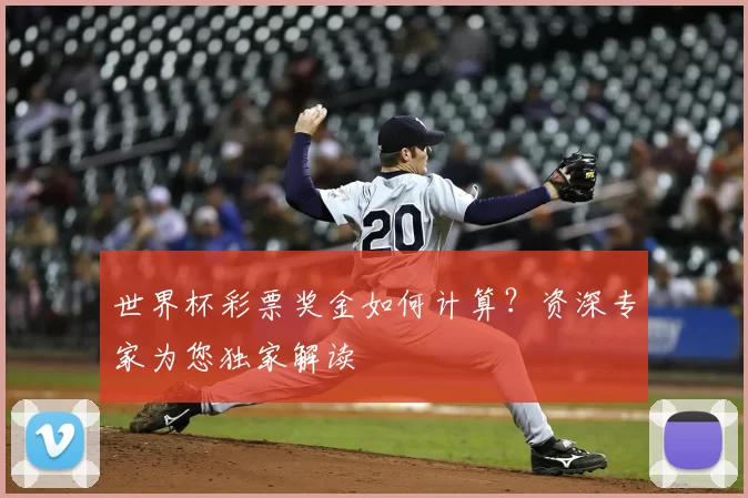 世界杯彩票奖金如何计算?资深专家为您独家解读