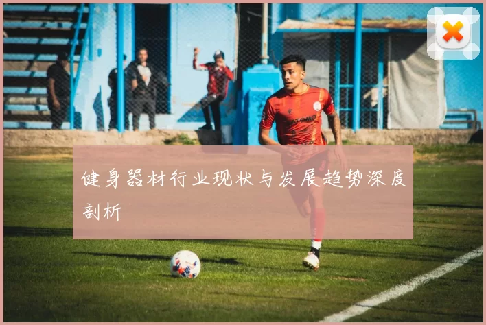 健身器材行业现状与发展趋势深度剖析