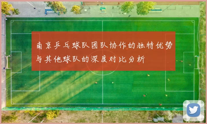 南京乒乓球队团队协作的独特优势与其他球队的深度对比分析