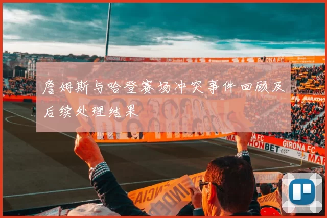 詹姆斯与哈登赛场冲突事件回顾及后续处理结果