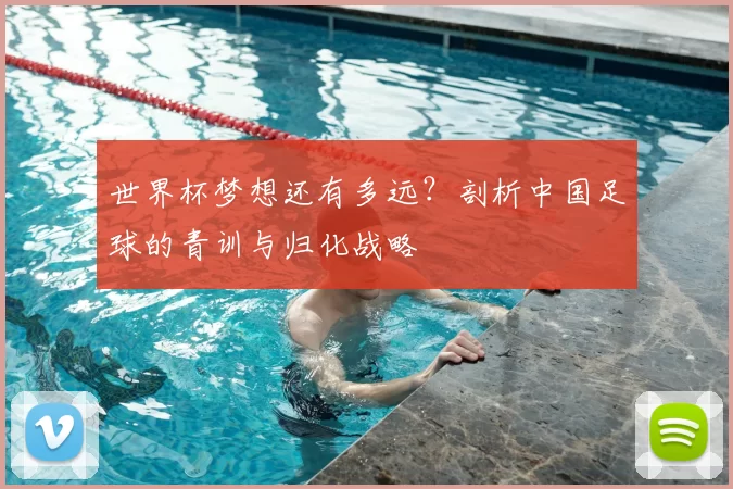 世界杯梦想还有多远?剖析中国足球的青训与归化战略