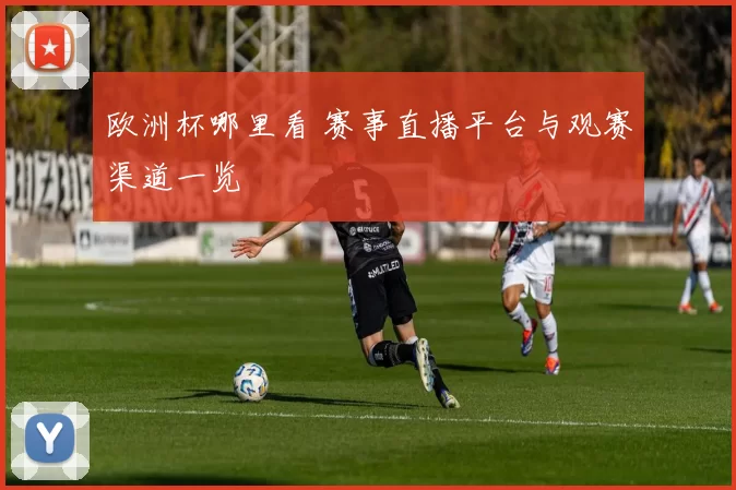 欧洲杯哪里看 赛事直播平台与观赛渠道一览