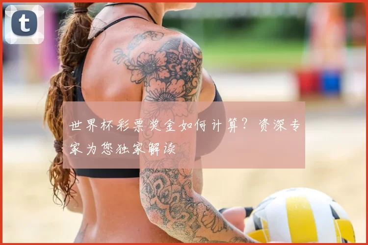 世界杯彩票奖金如何计算?资深专家为您独家解读