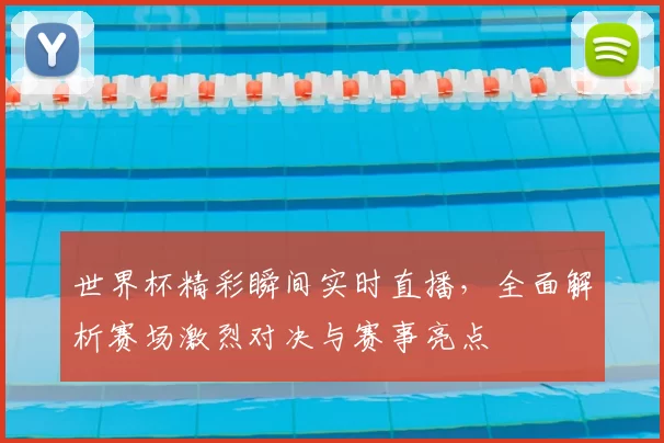 世界杯精彩瞬间实时直播，全面解析赛场激烈对决与赛事亮点
