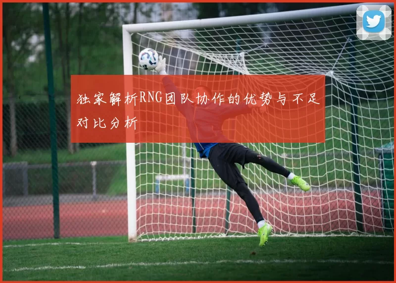 独家解析RNG团队协作的优势与不足对比分析