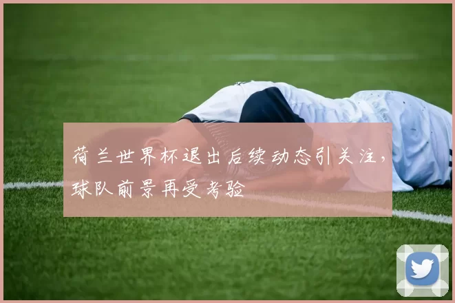 荷兰世界杯退出后续动态引关注,球队前景再受考验