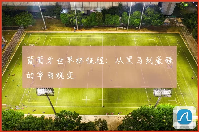 葡萄牙世界杯征程:从黑马到豪强的华丽蜕变