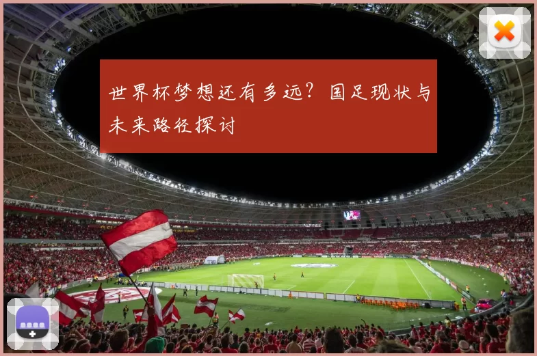 世界杯梦想还有多远？国足现状与未来路径探讨