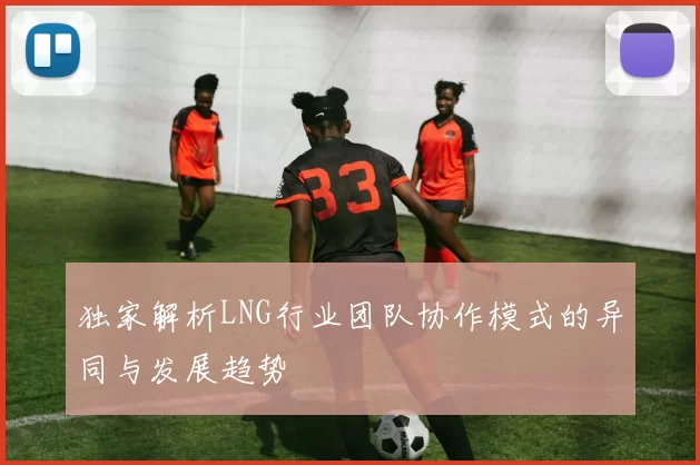 独家解析LNG行业团队协作模式的异同与发展趋势