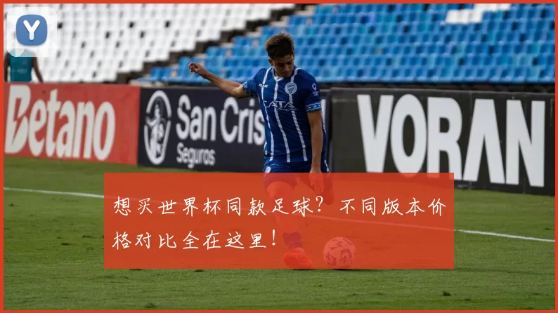 想买世界杯同款足球?不同版本价格对比全在这里!