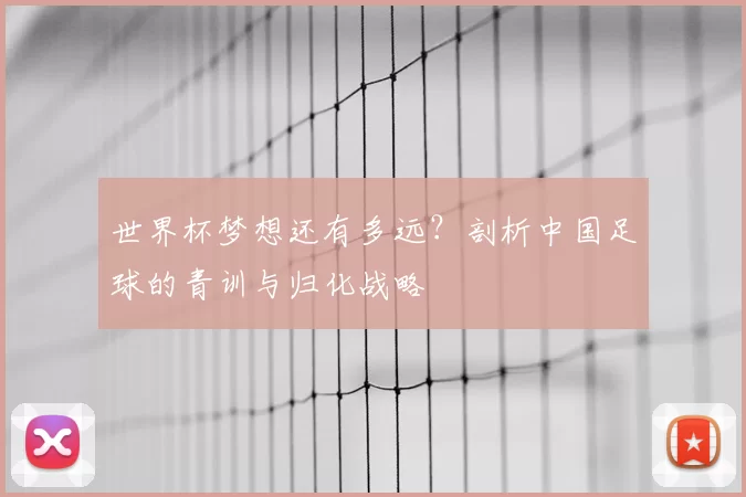 世界杯梦想还有多远?剖析中国足球的青训与归化战略