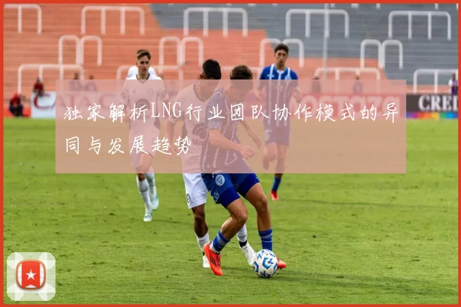 独家解析LNG行业团队协作模式的异同与发展趋势