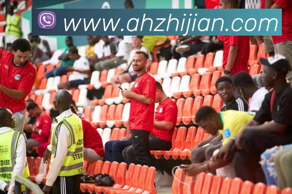 App Interface Preview