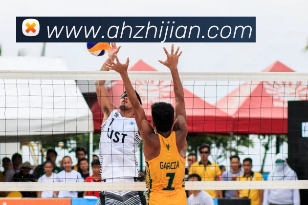 hth华体网站APP 封面图